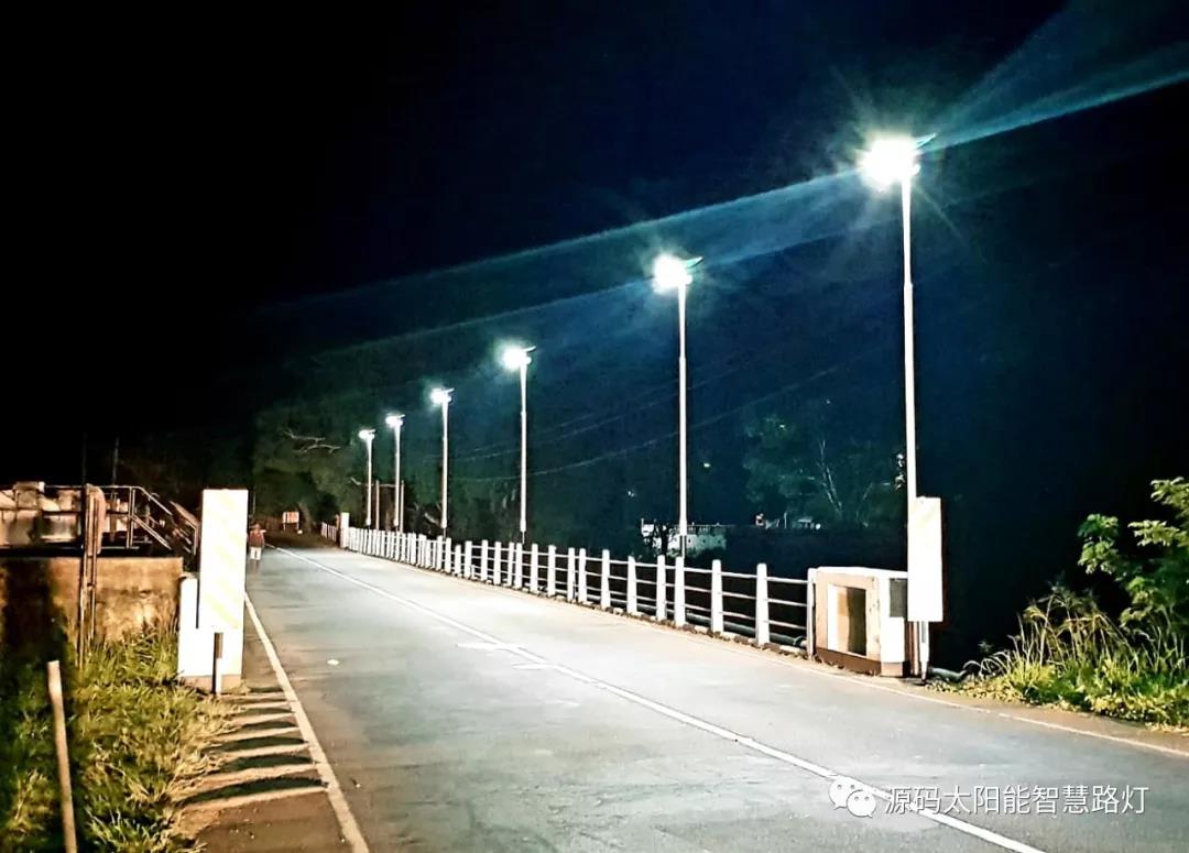 總統、發展局主席齊齊發聲，源碼火遍這個國家