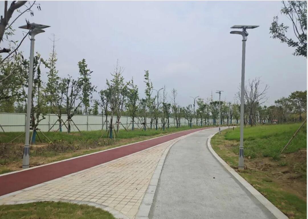 晴空排云雁高飛，源碼項目掀熱潮