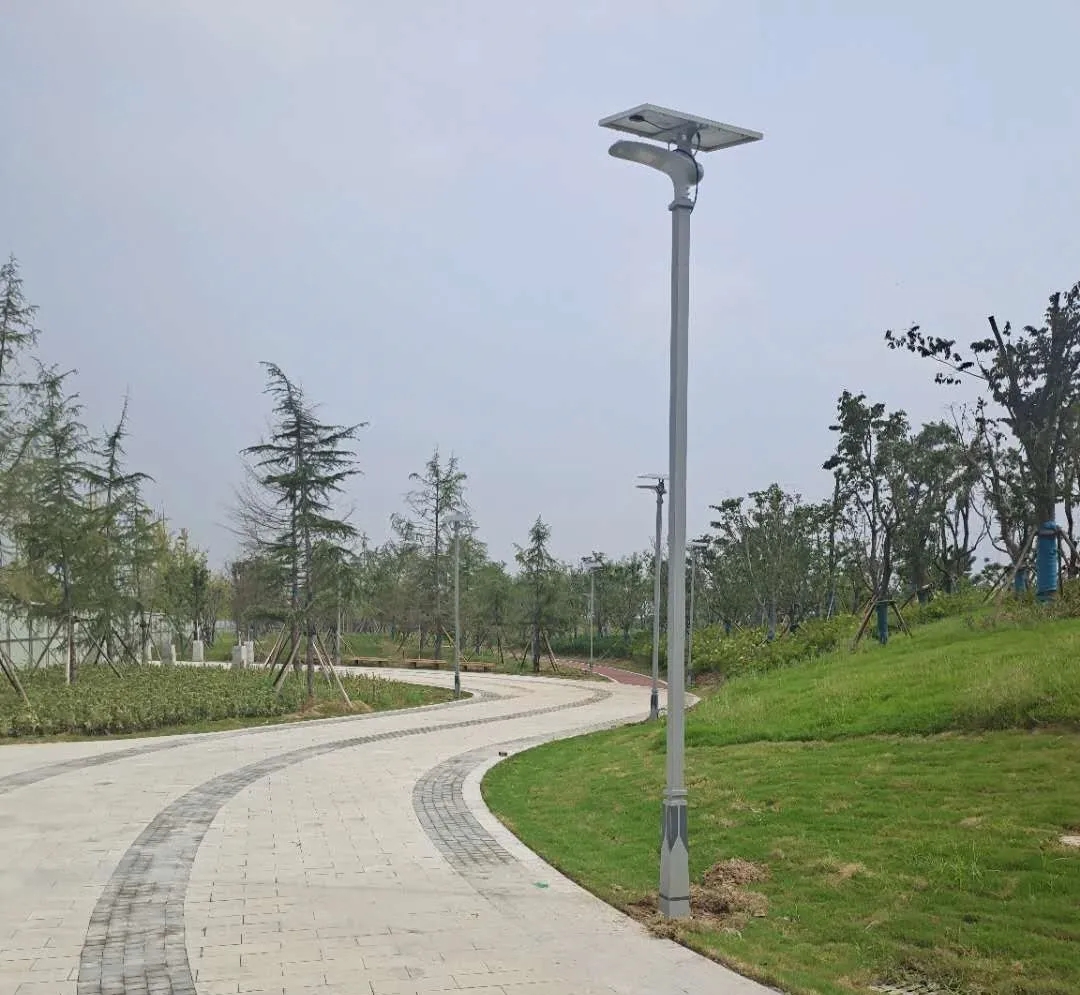 晴空排云雁高飛，源碼項目掀熱潮