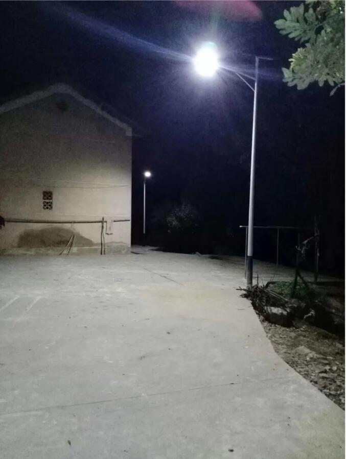 晴空排云雁高飛，源碼項目掀熱潮