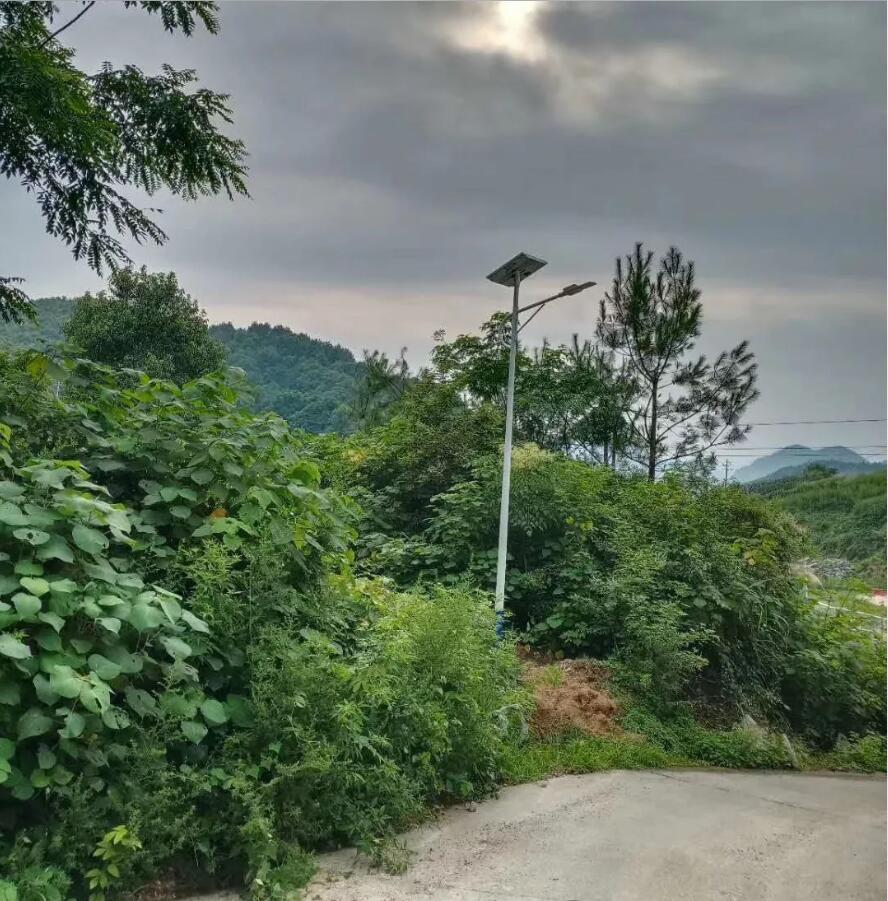 晴空排云雁高飛，源碼項目掀熱潮