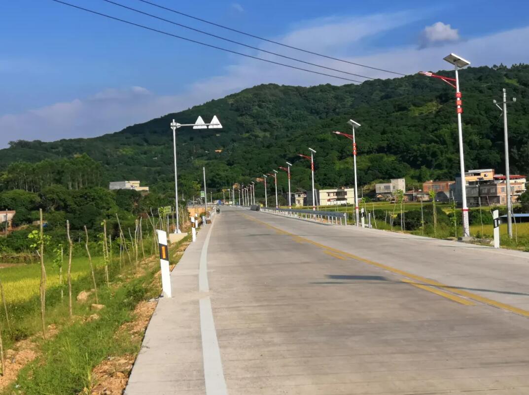 晴空排云雁高飛，源碼項目掀熱潮